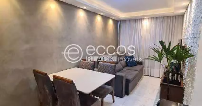 Apartamento à venda, 2 quartos, 1 vaga, paraíso - uberaba/mg