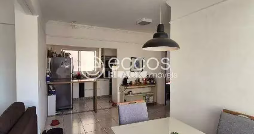 Apartamento à venda, 2 quartos, 1 suíte, 2 vagas, santa mônica - uberlândia/mg