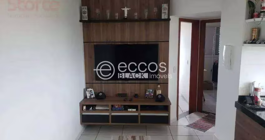 Apartamento à venda, 2 quartos, 1 vaga, jardim patrícia - uberlândia/mg