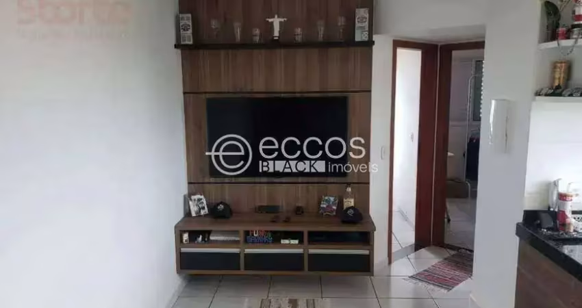 Apartamento à venda, 2 quartos, 1 vaga, jardim patrícia - uberlândia/mg