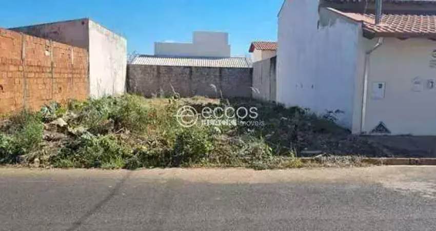 Terreno comercial à venda na Rua Sonilda Costa Ribeiro, --, Brasília, Araguari