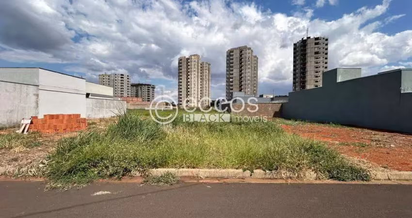 Terreno comercial à venda na Rua Basílio da Gama, --, Novo Mundo, Uberlândia