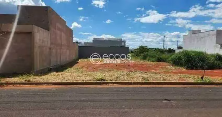 Terreno comercial à venda na Rua Basílio da Gama, --, Novo Mundo, Uberlândia