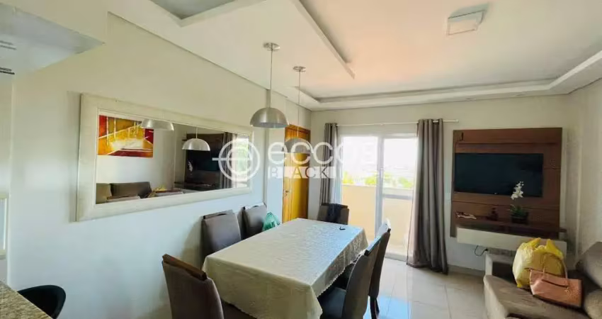 Apartamento para aluguel, 2 quartos, 1 suíte, 1 vaga, santa mônica - uberlândia/mg