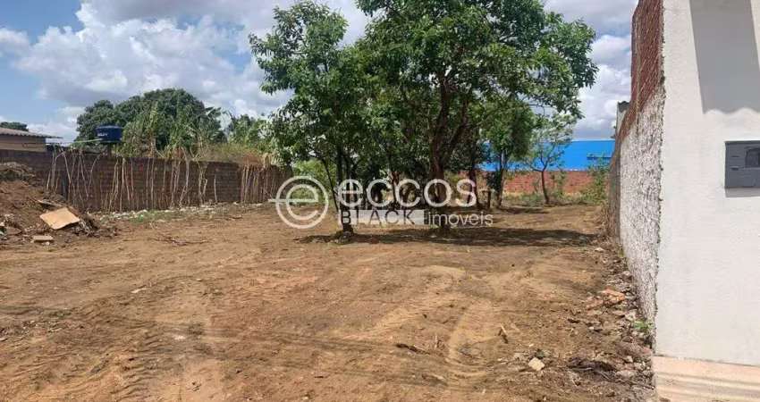 Terreno comercial à venda na Rua Benedito Teodoro Naves, 110, Vieno, Araguari