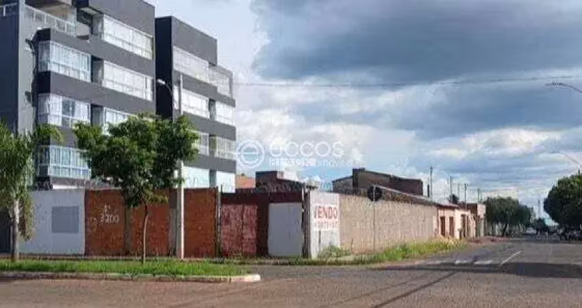 Terreno comercial à venda na Avenida Doutor Misael Rodrigues de Castro, 3271, Santa Mônica, Uberlândia