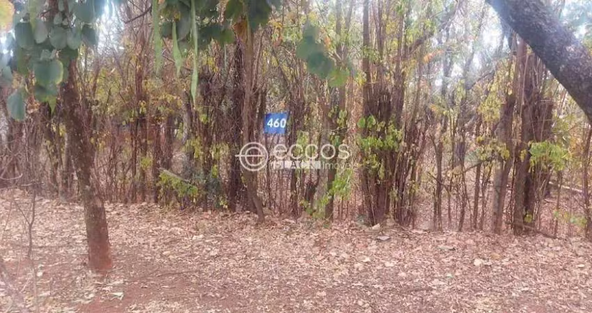 Terreno em condomínio à venda, jockey park - uberaba/mg