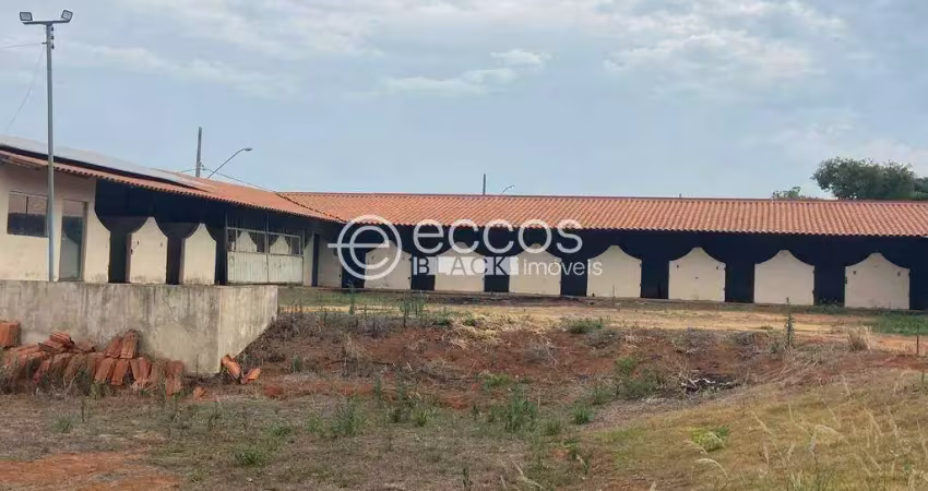 Terreno comercial à venda na Avenida Teodoreto Veloso de Carvalho, 1063, Paineiras, Araguari