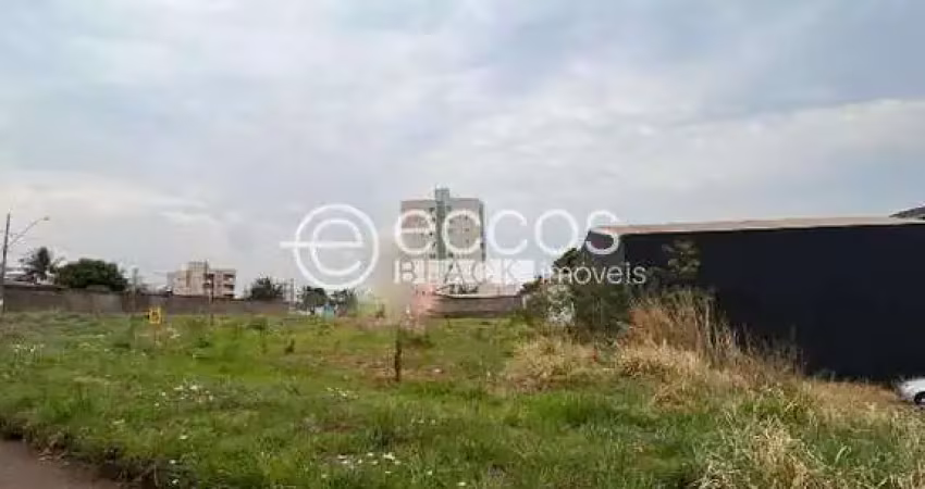Terreno comercial à venda na Avenida Anselmo Alves dos Santos, 65, Conjunto Segismundo Pereira, Uberlândia