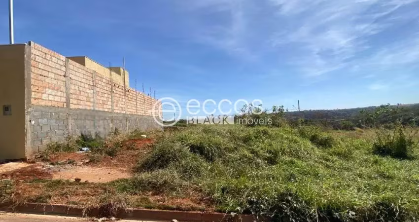 Terreno comercial à venda na Rua Osvaldo José da Costa, 146, Olinda, Uberaba