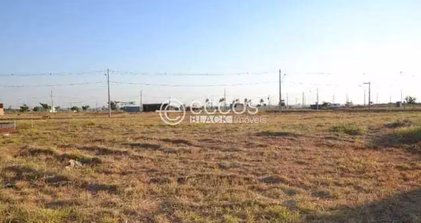 Terreno comercial à venda na Avenida Multicor, 82, Alto Umuarama, Uberlândia
