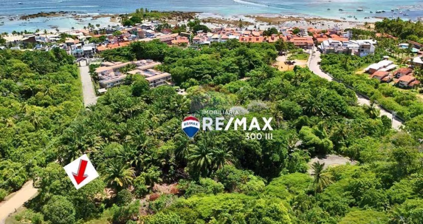 'Invista em Morro de São Paulo: Terreno na 2ª Praia'