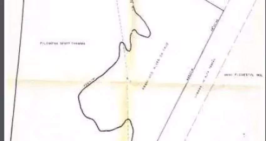 Chácara / sítio com 3 quartos à venda na ESTRADA GUARAQUEÇABA, Zona Rural, Antonina
