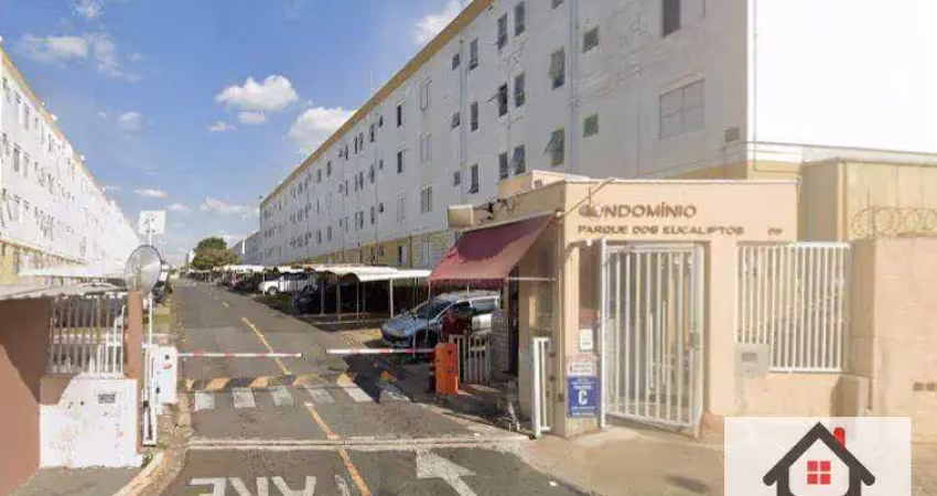 Apartamento com 3 dormitórios à venda, 74 m² por R$ 200.000,00 - Vila Padre Manoel de Nóbrega - Campinas/SP