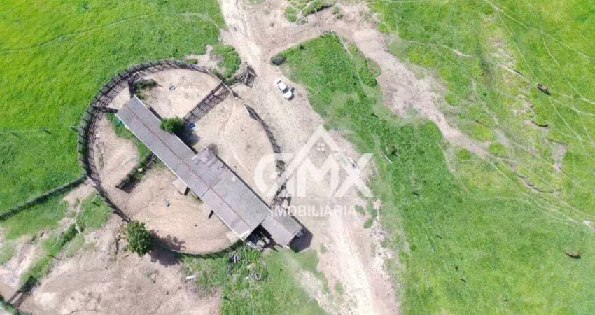 Fazenda com 6 dormitórios à venda, 9970400 m² por r$ 30.000.000,00 - rural - sapopema/pr