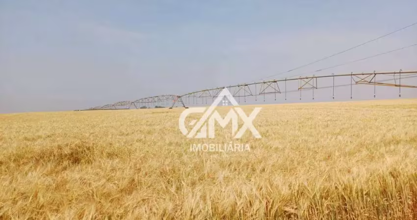 Fazenda à venda, 650 alqueires por r$ 260.000.000 - rural - taquarituba/sp