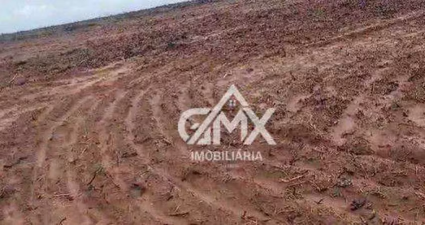 Fazenda com 867 alqueiers  à venda, por r$ 42.000.000 - zona rural - porto nacional/to