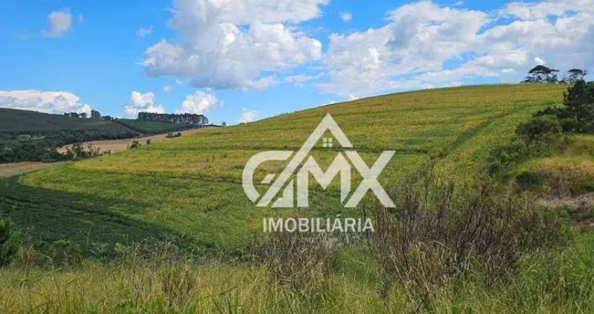 Sítio com 2 dormitórios à venda, 145200 m² por r$ 1.000.000 - zona rural - tamarana/pr