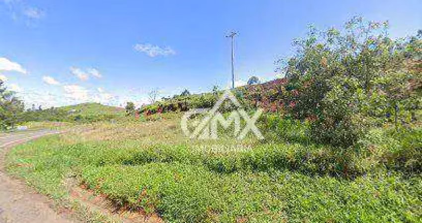 Sítio à venda, sitio de 23 por r$ 3.500.000 - rural - sapopema/pr