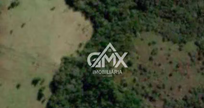 Fazenda à venda, 40 alqueirs  por r$ 5.100.000 - rural - sapopema/pr