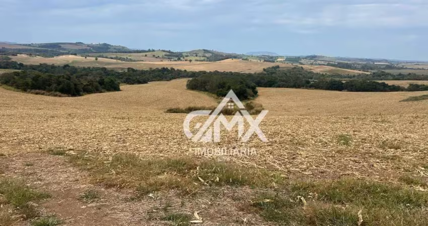 Fazenda com 129 alqueires à venda, 3121800 m² por r$ 9.030.000 - três bicos - candido de abreu/pr