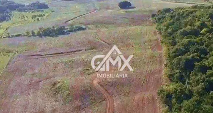 Fazenda com 735 alqueires paulista  por r$ 160.000.000 - área rural de londrina - londrina/pr
