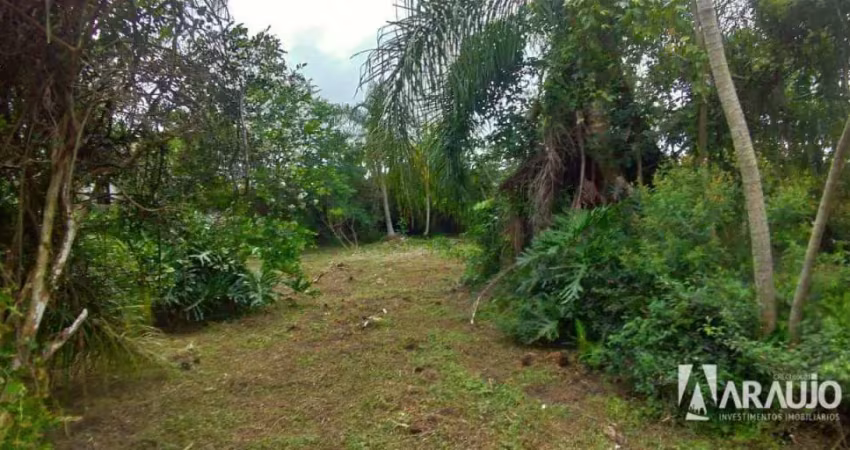 Terreno à venda na Rodovia Francisco Thomaz dos Santos, Campeche, Florianópolis