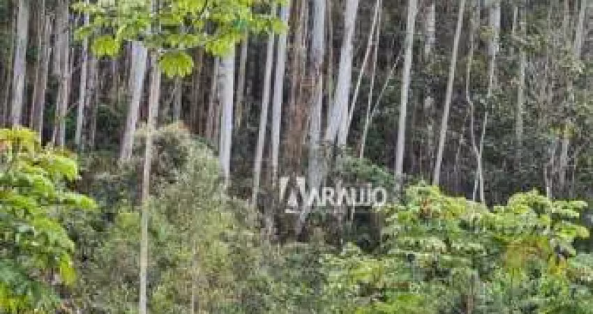 Chácara / sítio com 2 quartos à venda no Aguti, Nova Trento 