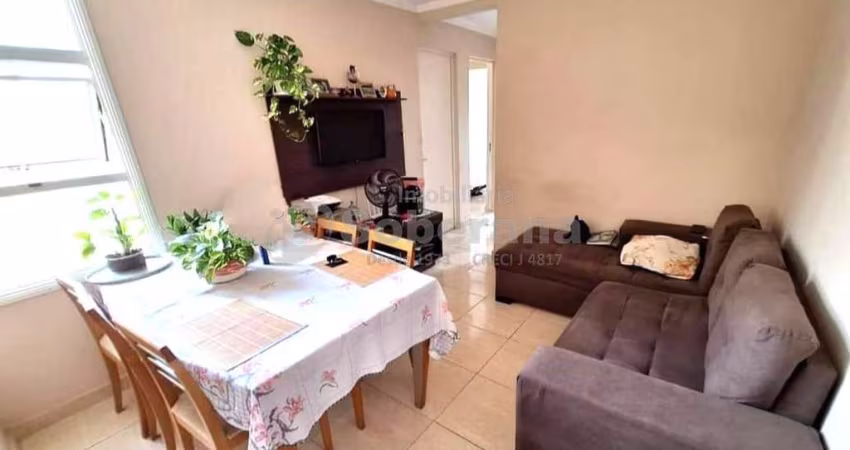 Apartamento com 2 quartos à venda no Jardim Monte Alto, Campinas 