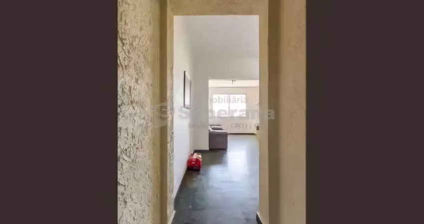 Apartamento com 3 quartos para alugar no Jardim das Paineiras, Campinas 