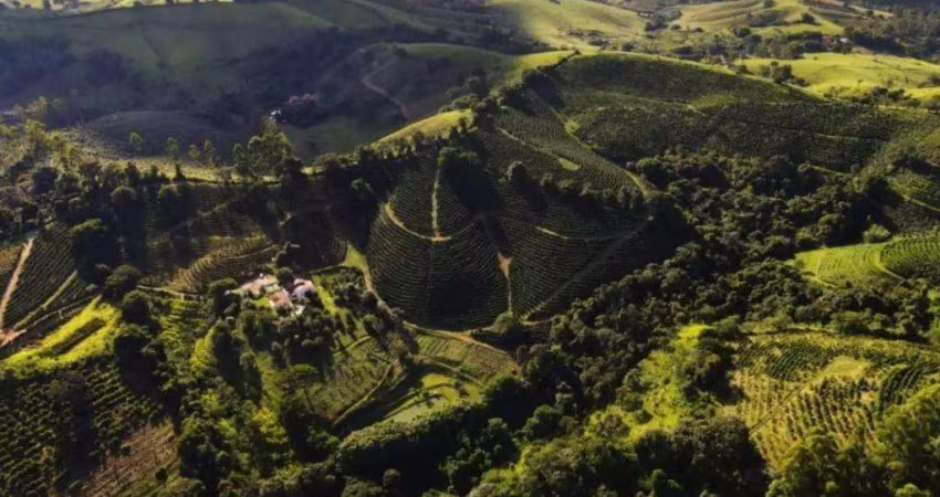 Fazenda à venda em Inconfidentes MG
