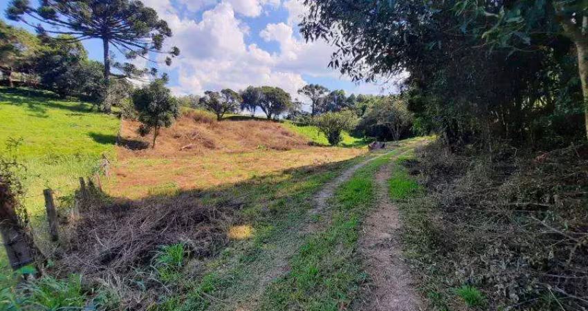 Terreno à venda na Linha Santa Clara, 1, Centro, Carlos Barbosa