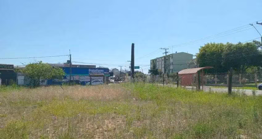 Terreno comercial para alugar na Rua Manoel Serafim, 675, Centro, Sapucaia do Sul