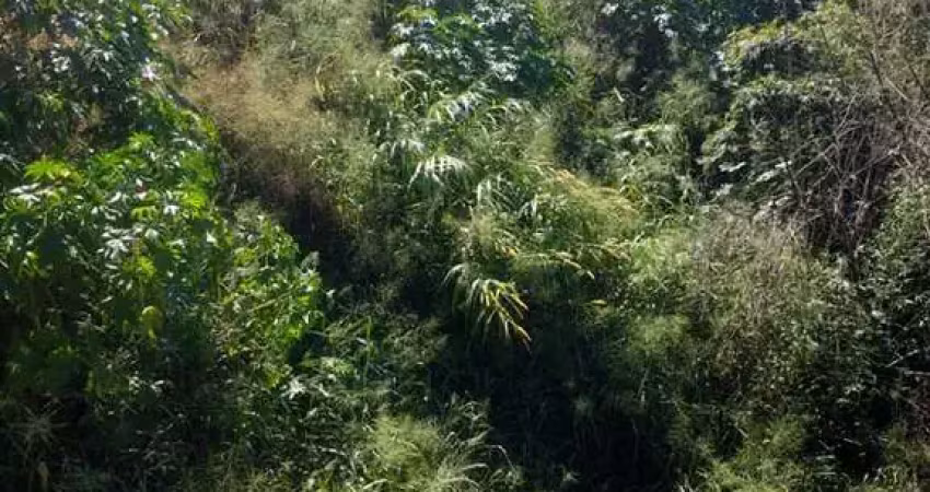 Terreno à venda no Jardim Casa Branca, Betim 