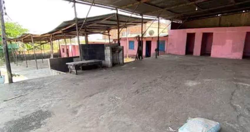 Excelente area com galpao e escritório próximo a saída da br 381