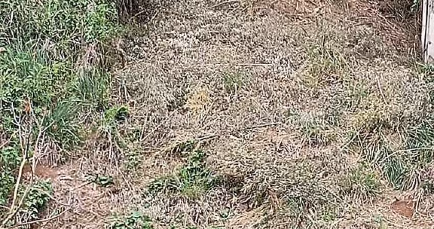 Lote / Terreno - Dom Bosco