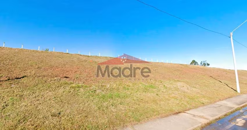 Terreno comercial à venda na Marginal da BR-376, 934, Miringuava, São José dos Pinhais