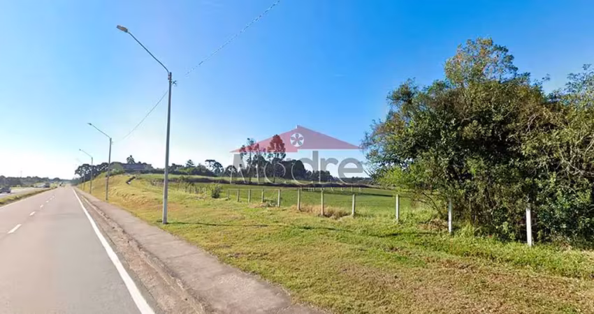 Terreno comercial à venda na Marginal da BR-376, 934, Miringuava, São José dos Pinhais