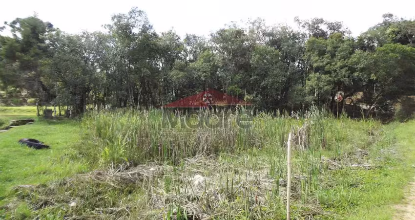 Chácara / sítio à venda na Rua José Biscaia de Andrade, Zona Rural, Mandirituba