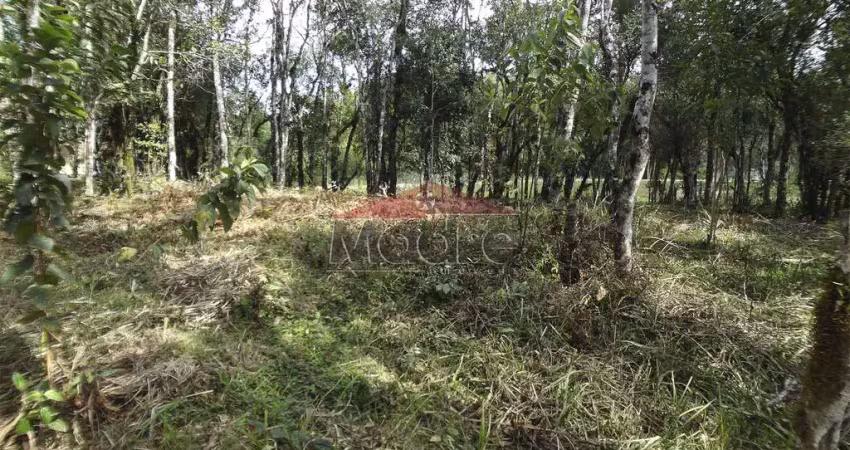 Chácara / sítio à venda na Rua José Biscaia de Andrade, Zona Rural, Mandirituba