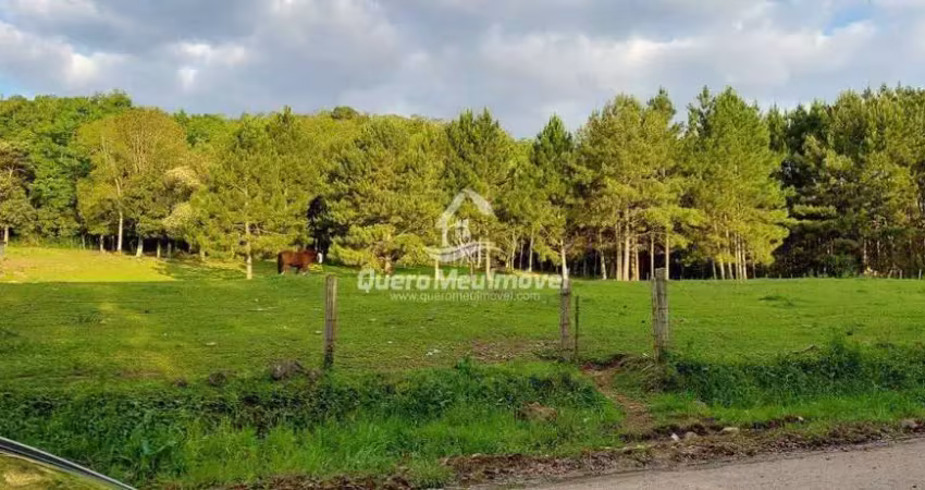 Terreno à venda na Travessa Henrique D'avila, 1, Parada Cristal, Caxias do Sul