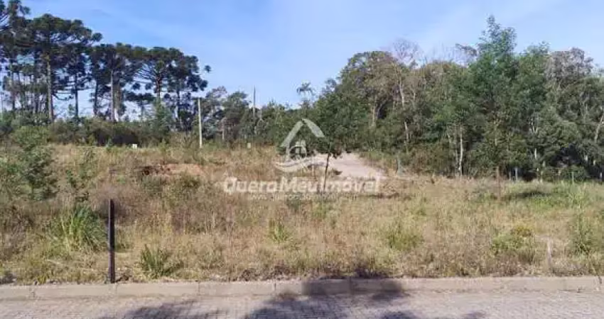 Terreno à venda na Rua Antônio Tomé, 1, Ana Rech, Caxias do Sul