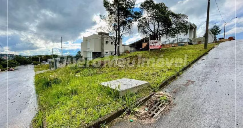 Terreno à venda na Rua Mateus Cardoso, 1118, São Luiz, Caxias do Sul
