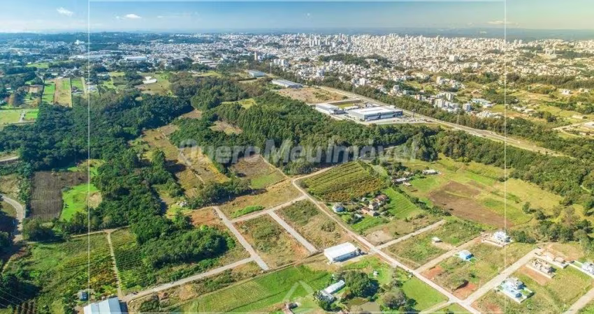 Terreno à venda na Estrada Municipal Avelina Tomazzoni Piccoli, 83, Monte Bérico, Caxias do Sul