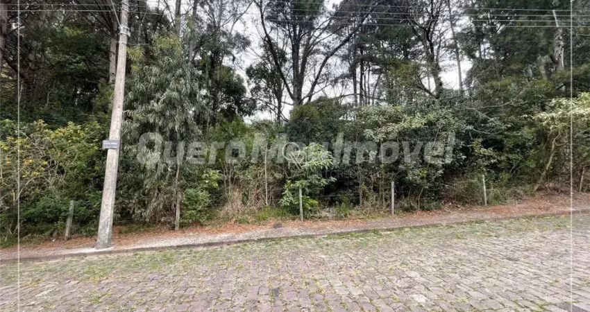Terreno à venda na Rua Caetano Bettega, 1, Colina Sorriso, Caxias do Sul