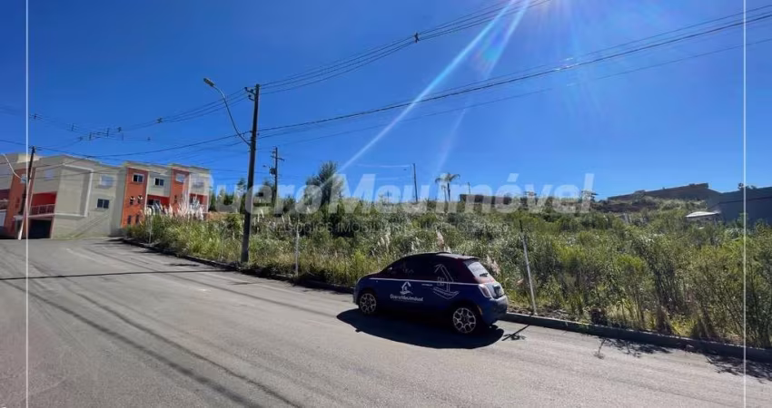 Terreno à venda na Iracema Therezinha Rockenbach Pereira, 1, Desvio Rizzo, Caxias do Sul