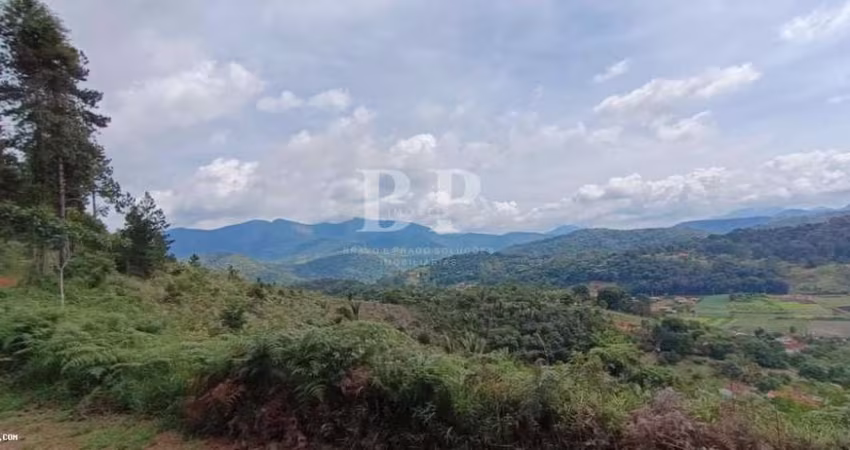 Terreno para Venda em Teresópolis, Fazenda Suiça