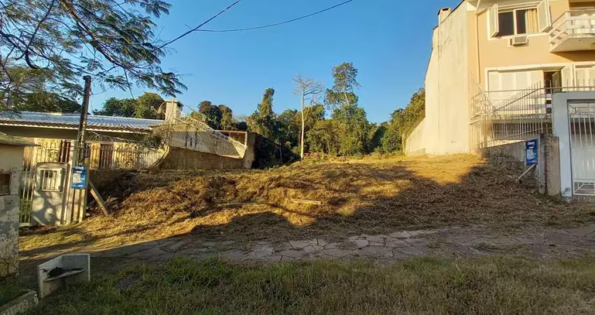 Terreno à venda na Rua Alcebíades Antônio dos Santos, 149, Nonoai, Porto Alegre