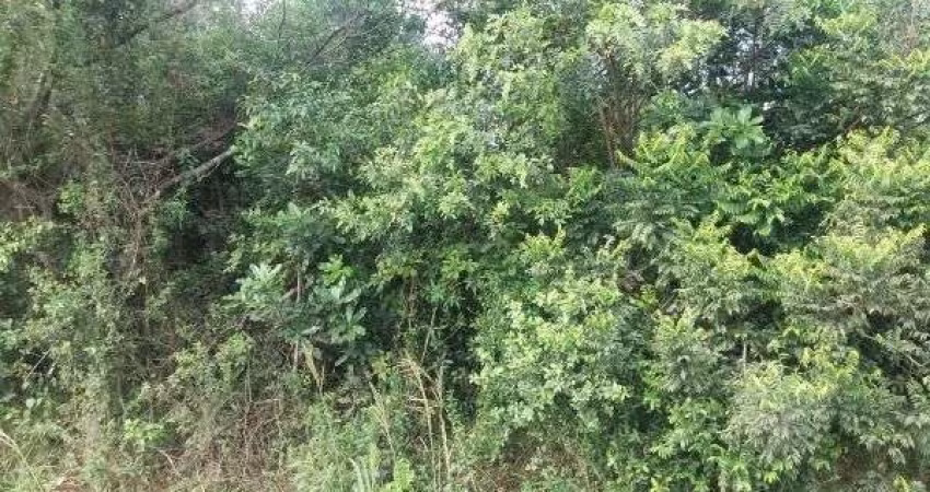 Terreno para Venda - 0m², 0 dormitórios, Restinga