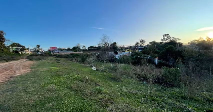 Área com 29000 m² por R$ 300.000,00 na Rua Manoel Prates Garcia- Tabatinga - Santana do Livramento-RS
